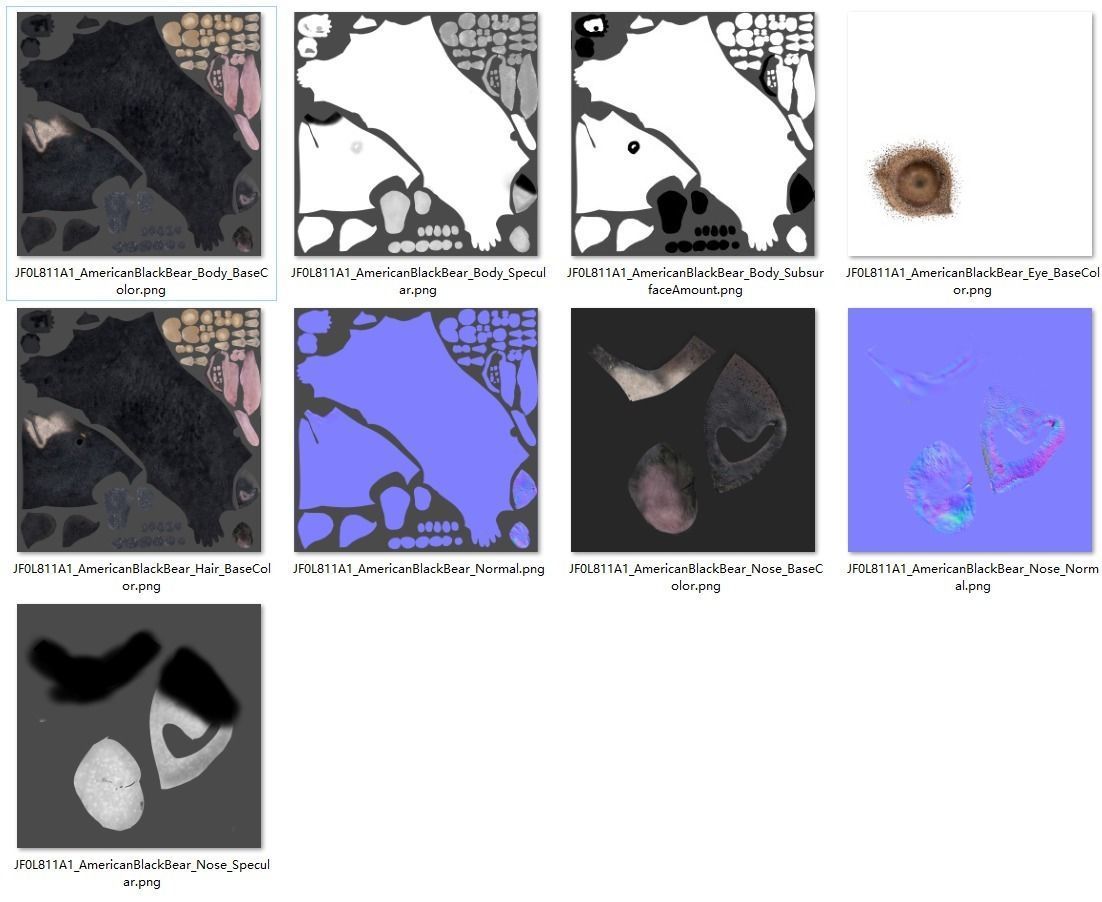 American Black Bear Rigged VFX Grace 3D model_19