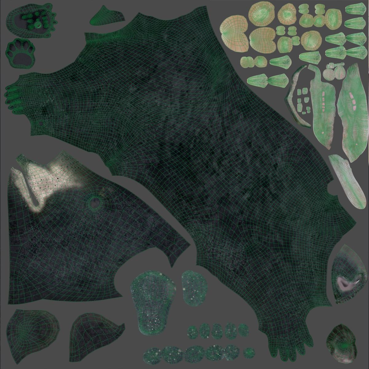 American Black Bear Rigged VFX Grace 3D model_17