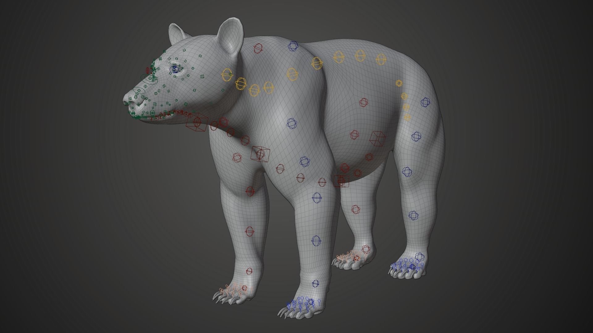 American Black Bear Rigged VFX Grace 3D model_12