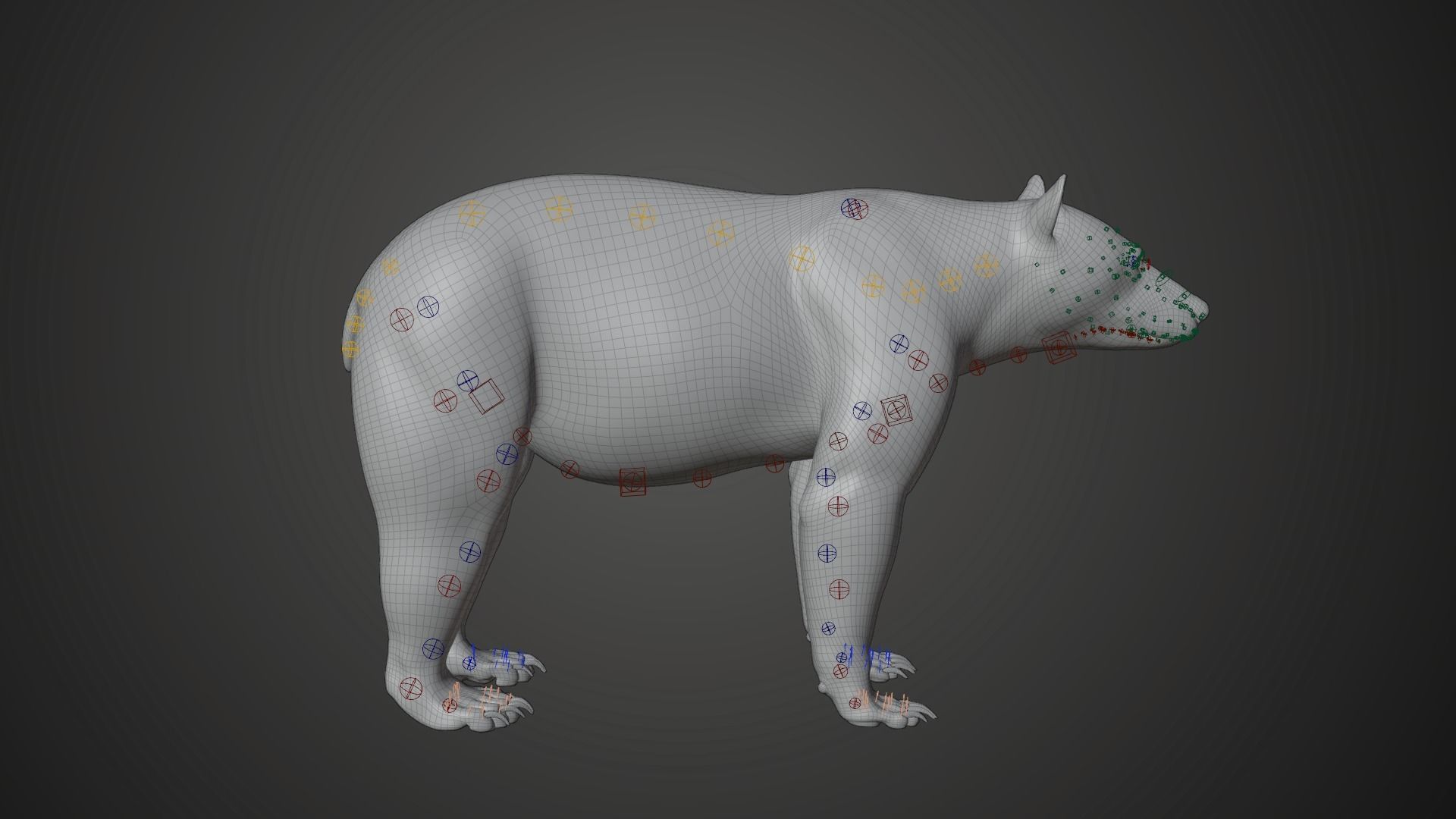 American Black Bear Rigged VFX Grace 3D model_10