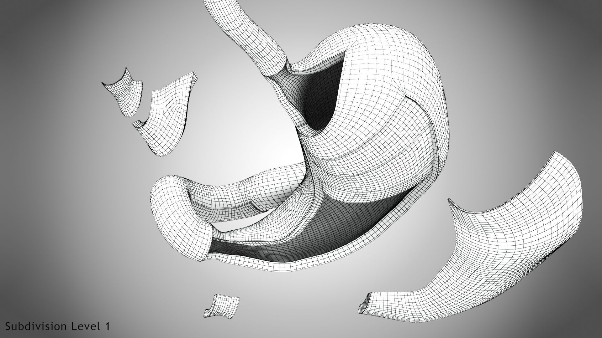 Stomach Anatomy 3D model_18