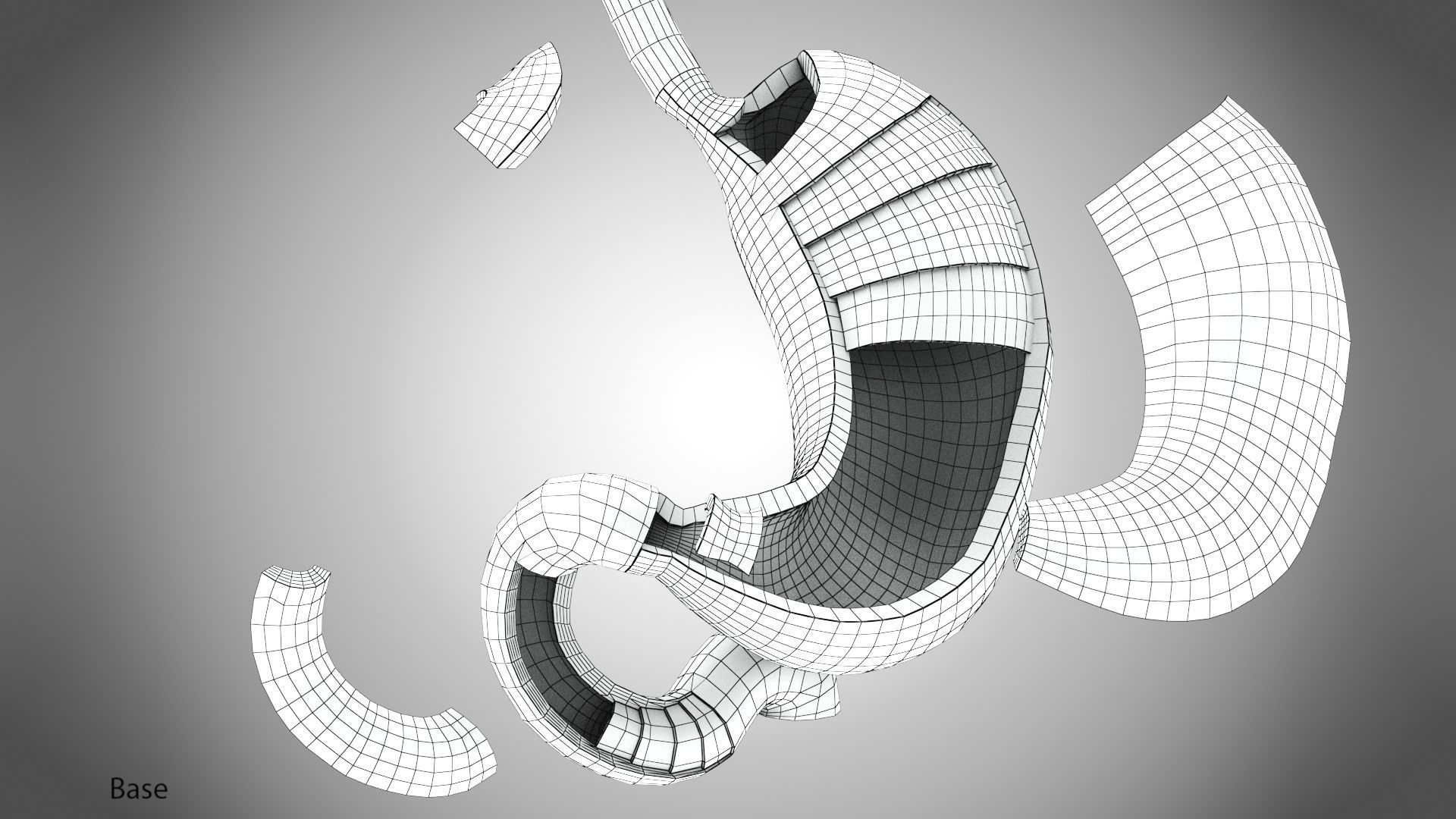 Stomach Anatomy 3D model_19