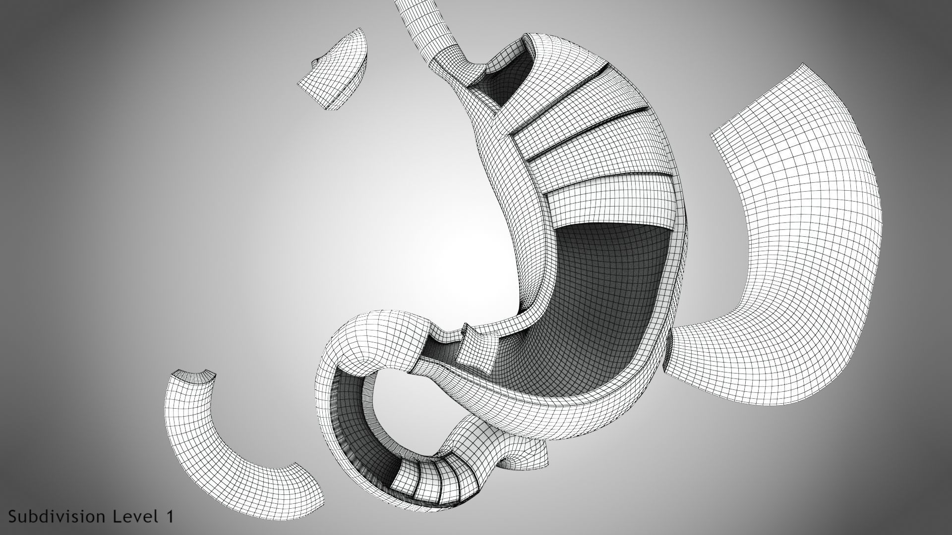 Stomach Anatomy 3D model_20