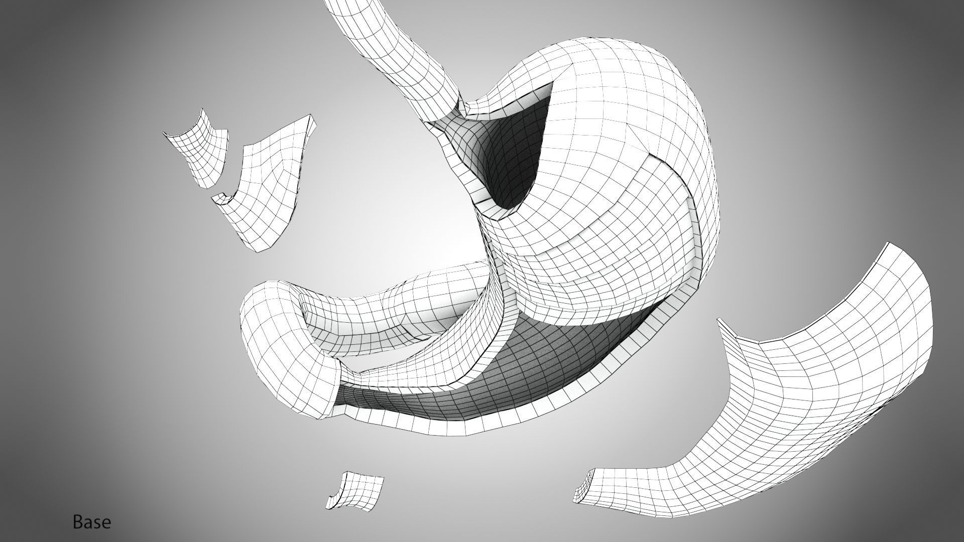 Stomach Anatomy 3D model_17