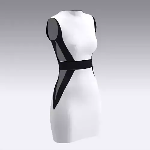 DRESS BLACK AND WHITE HOURGLASS 