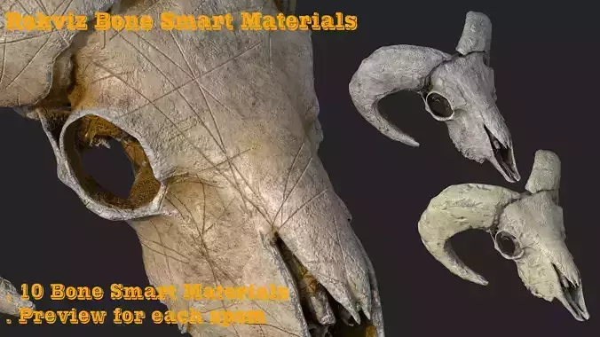 10 Bone Smartmaterials Texture
