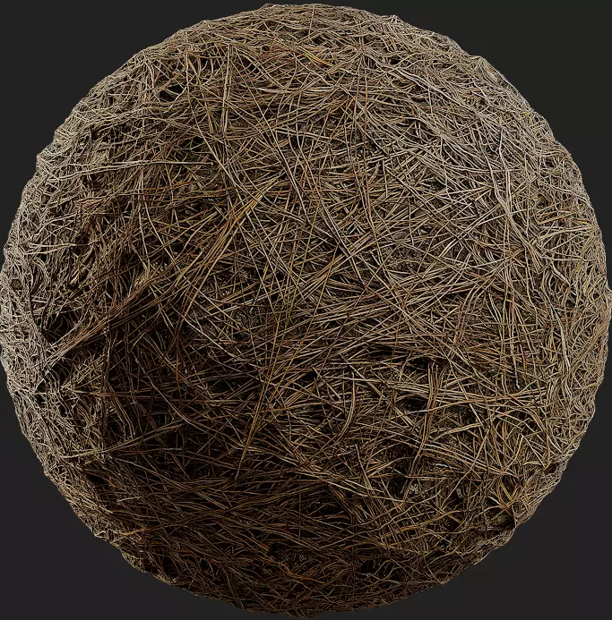 DRIED PINE NEEDLES 4k Texture_0