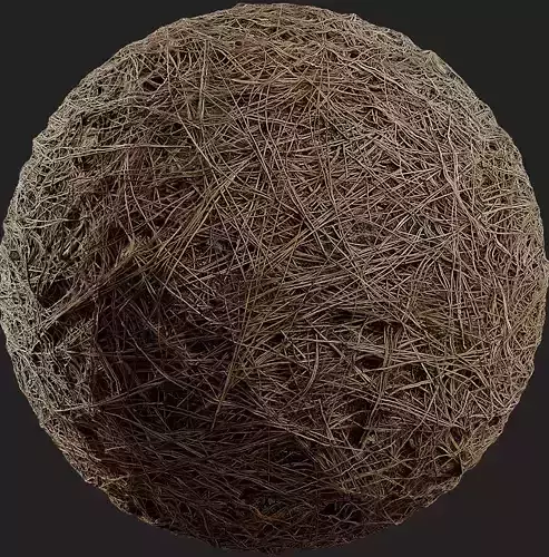 DRIED PINE NEEDLES 4k