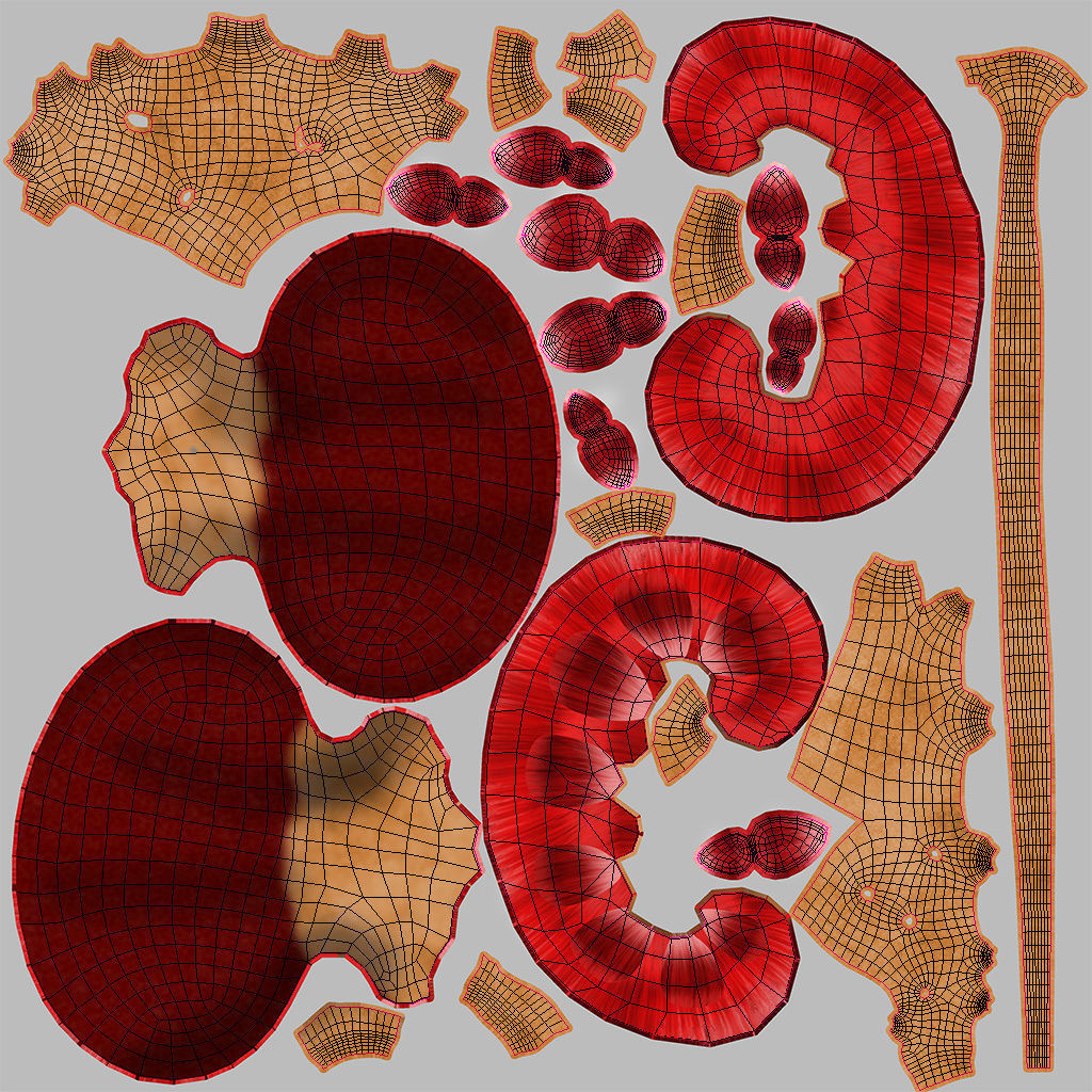 Digestive Organs with Anatomic Cut Low-poly 3D model_22