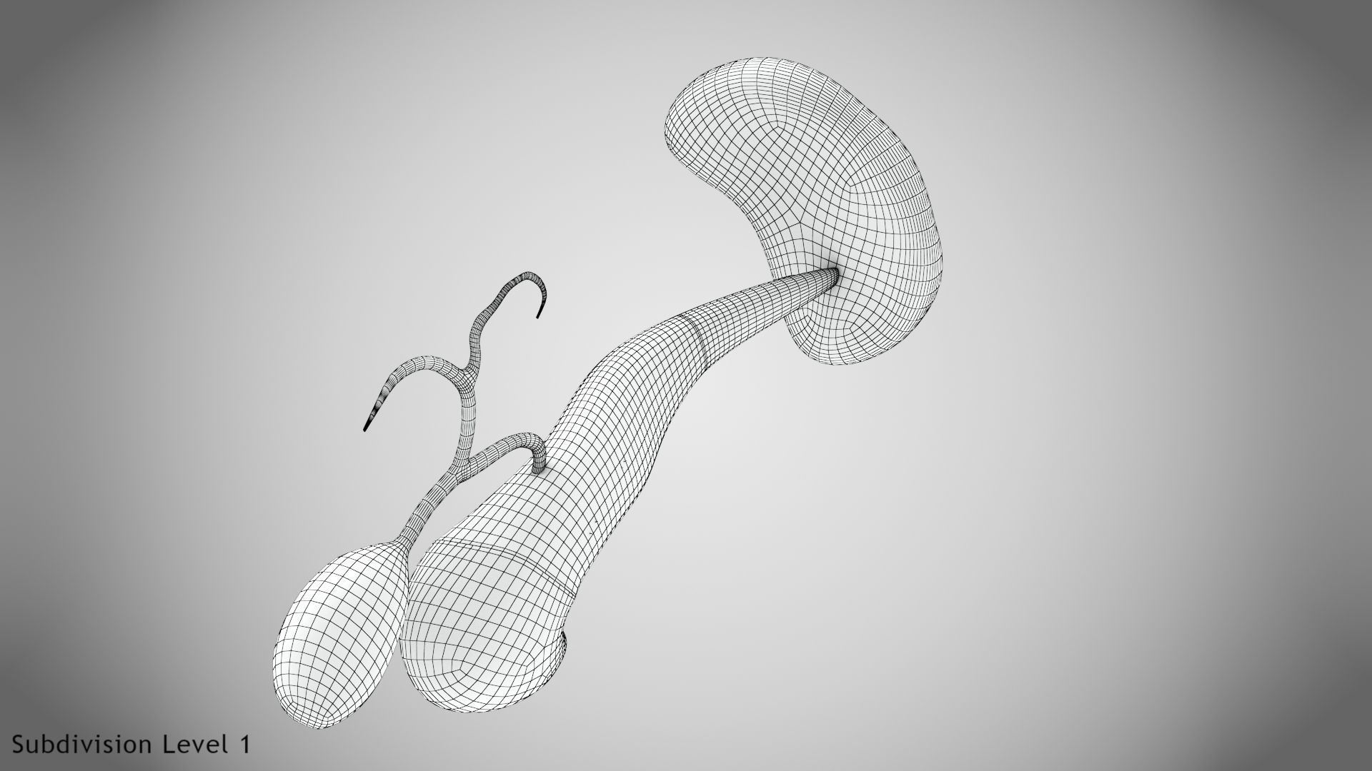 Digestive Organs with Anatomic Cut Low-poly 3D model_54