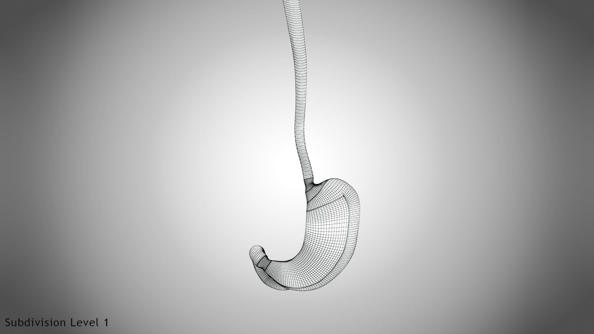 Digestive Organs with Anatomic Cut Low-poly 3D model_65