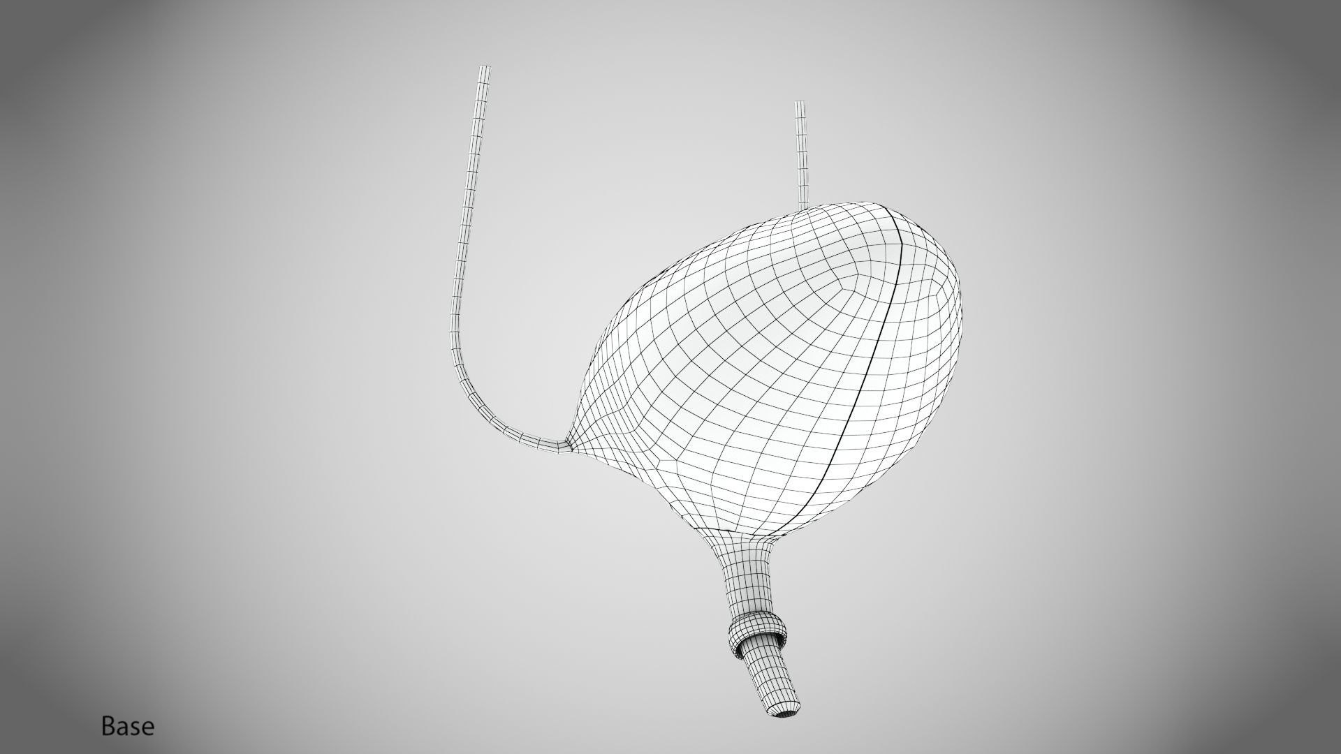 Digestive Organs with Anatomic Cut Low-poly 3D model_62