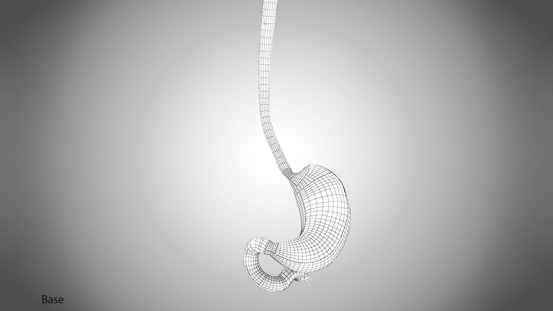 Digestive Organs with Anatomic Cut Low-poly 3D model_50