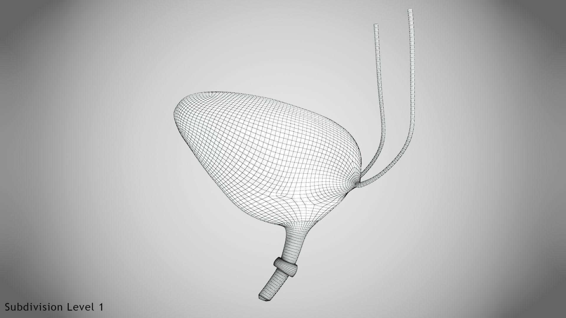 Digestive Organs with Anatomic Cut Low-poly 3D model_75