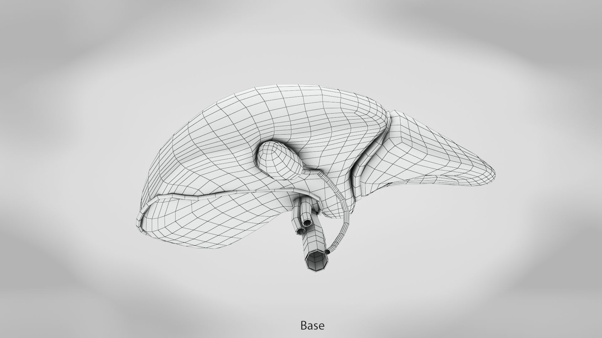 Digestive Organs with Anatomic Cut Low-poly 3D model_30