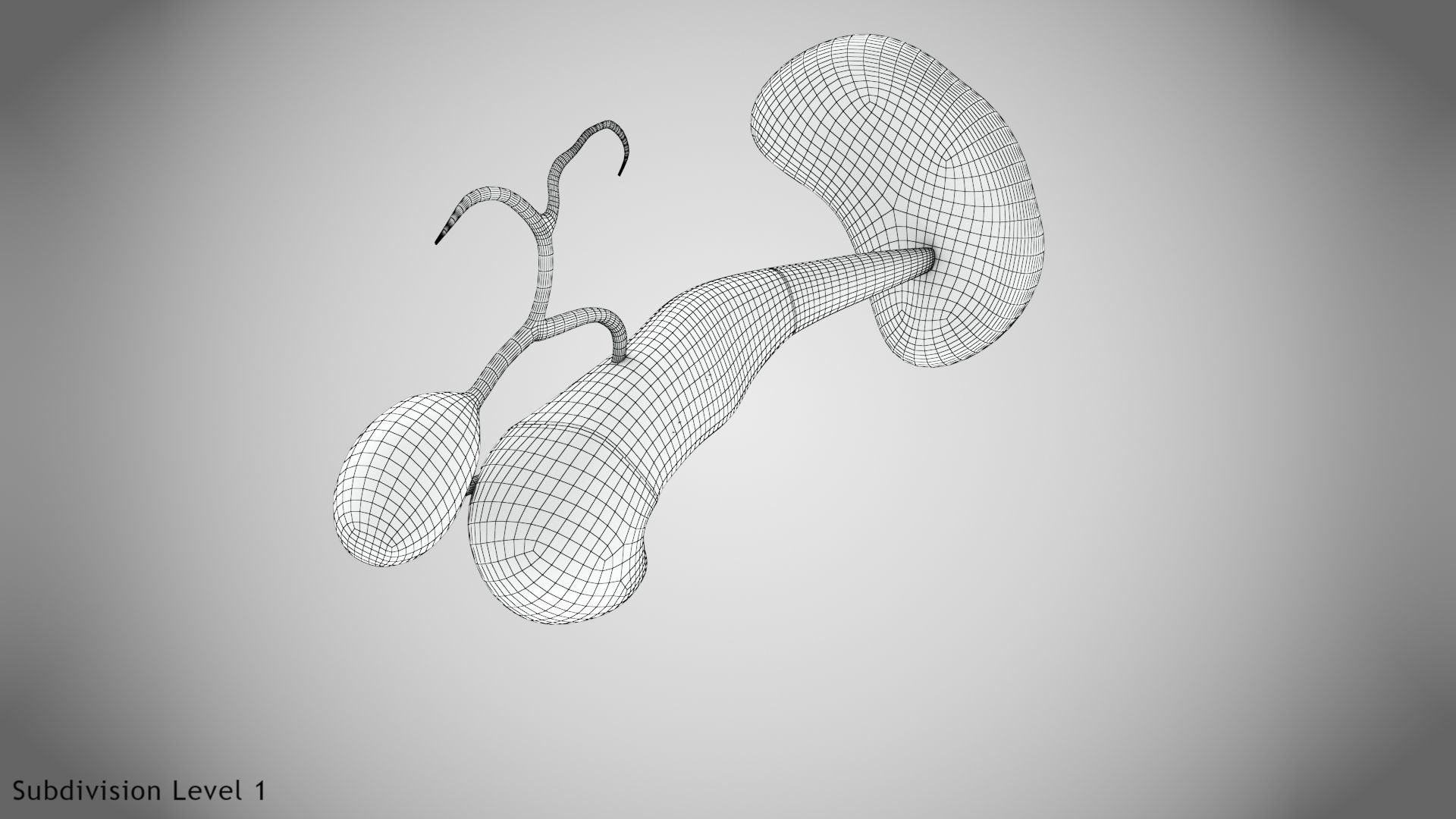 Digestive Organs with Anatomic Cut Low-poly 3D model_64