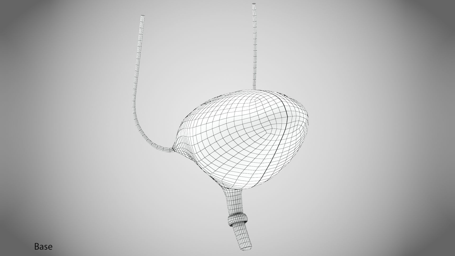 Digestive Organs with Anatomic Cut Low-poly 3D model_52