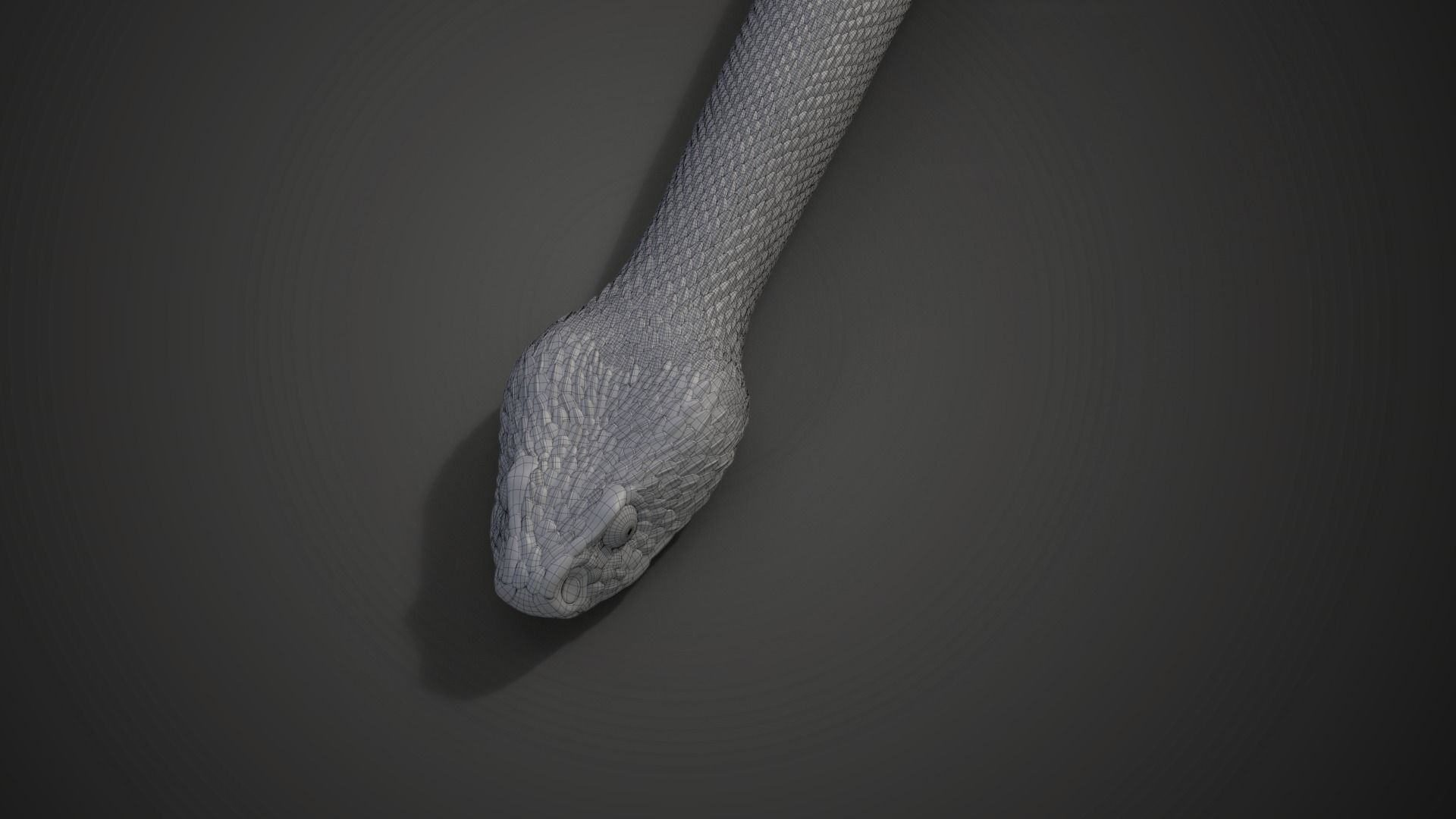 Palestine viper Animated VFX Grace 3D model_19