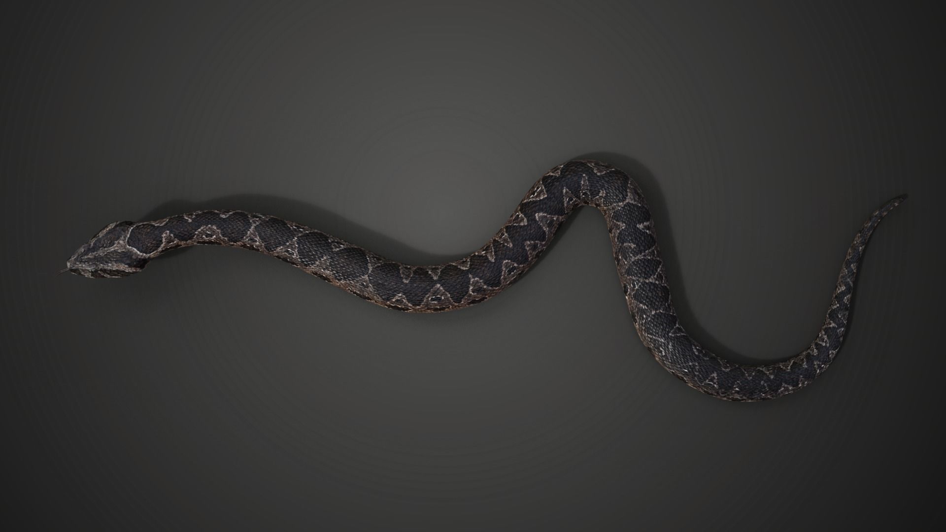 Palestine viper Animated VFX Grace 3D model_8