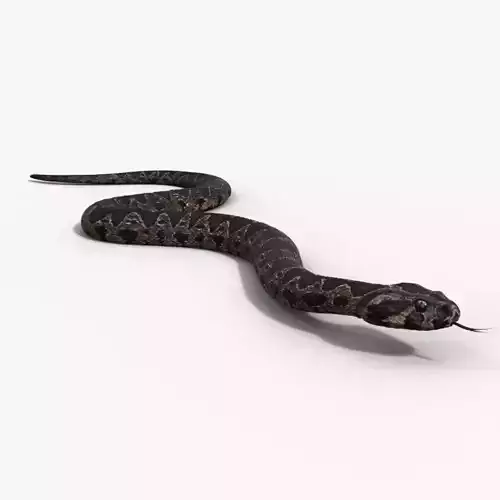 Palestine viper Animated VFX Grace 3D model