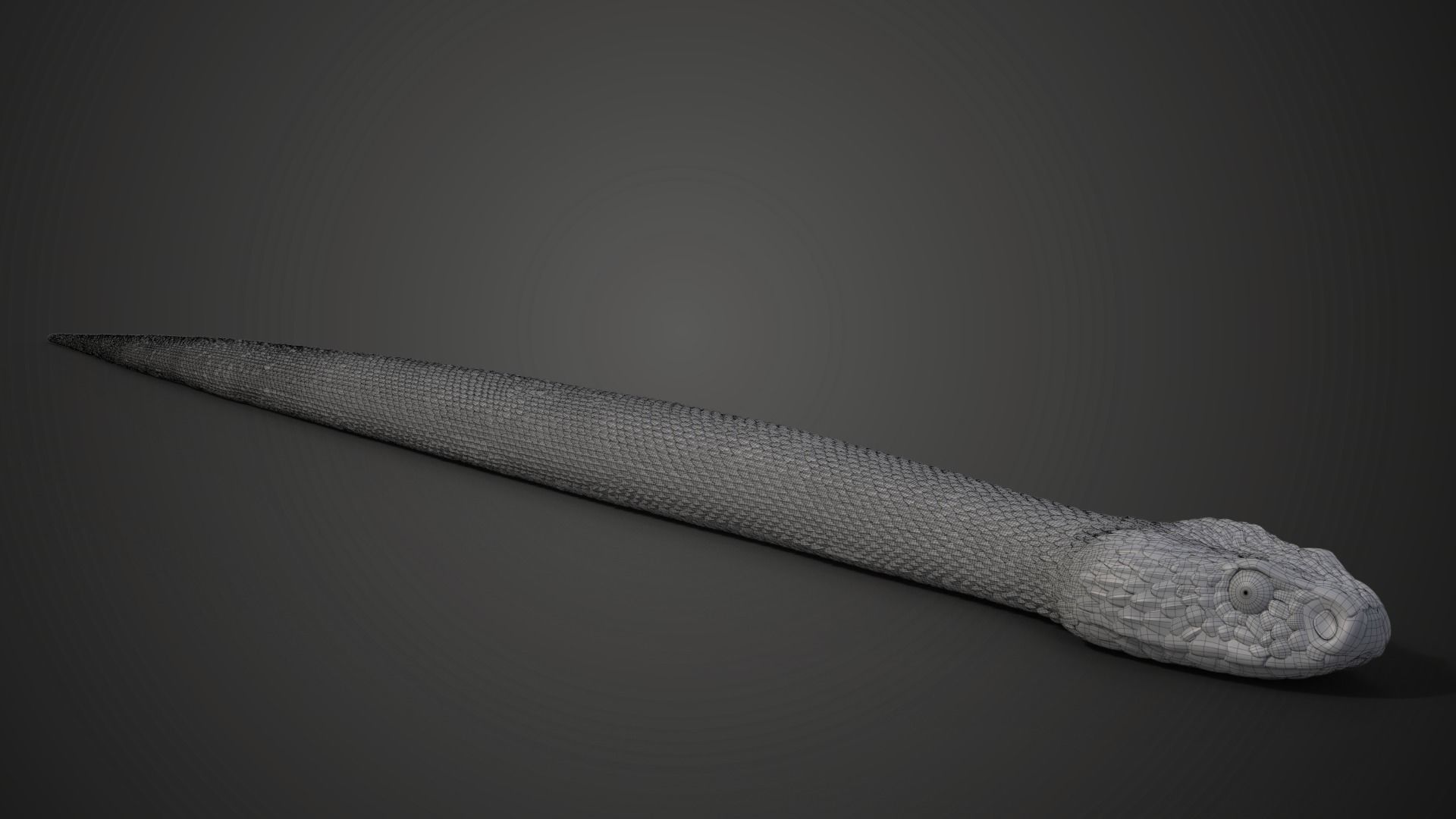 Palestine viper Animated VFX Grace 3D model_16