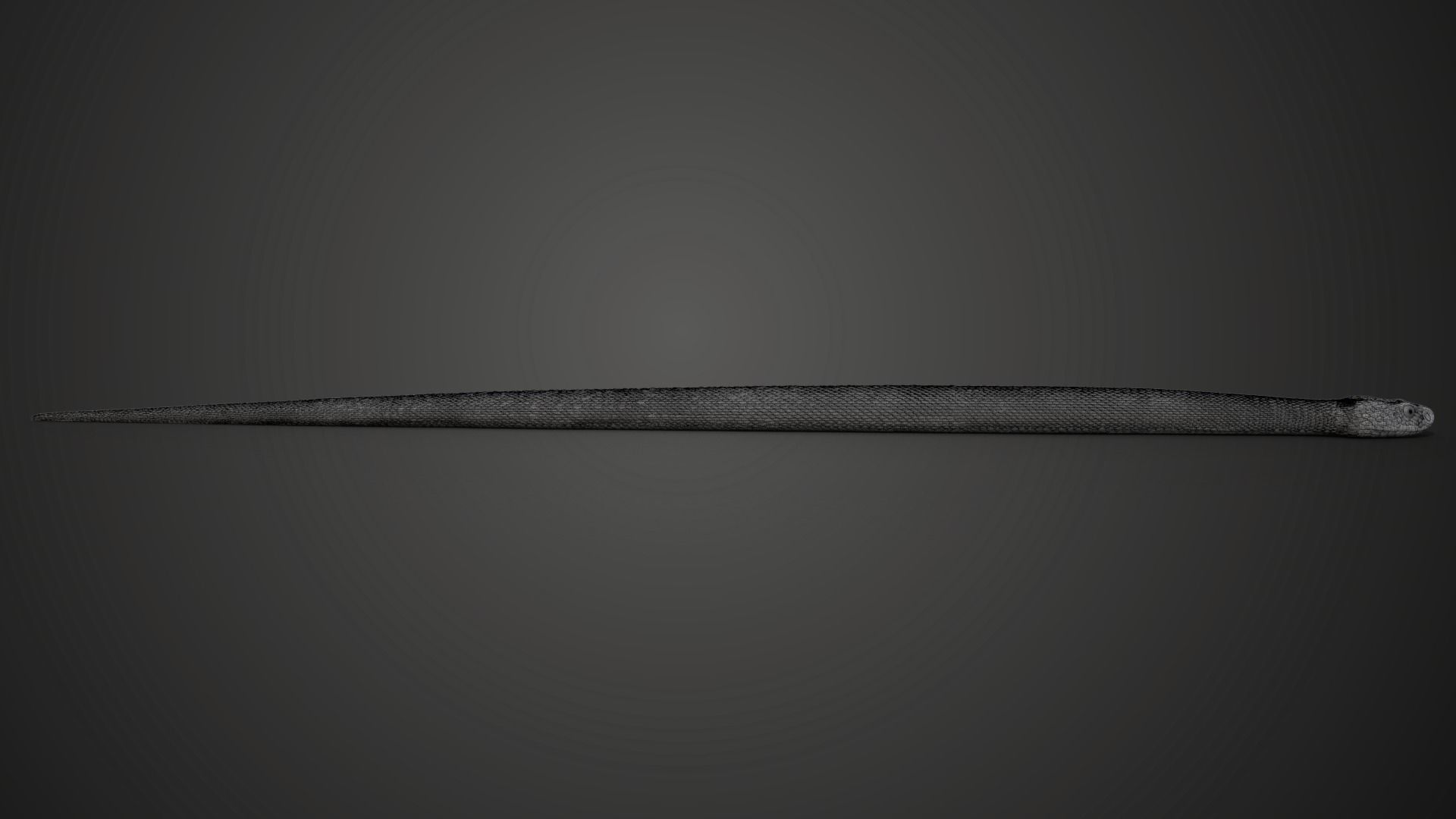 Palestine viper Animated VFX Grace 3D model_18