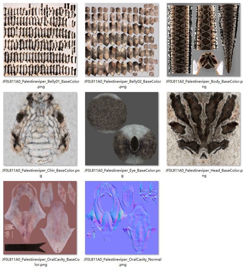 Palestine viper Animated VFX Grace 3D model_22