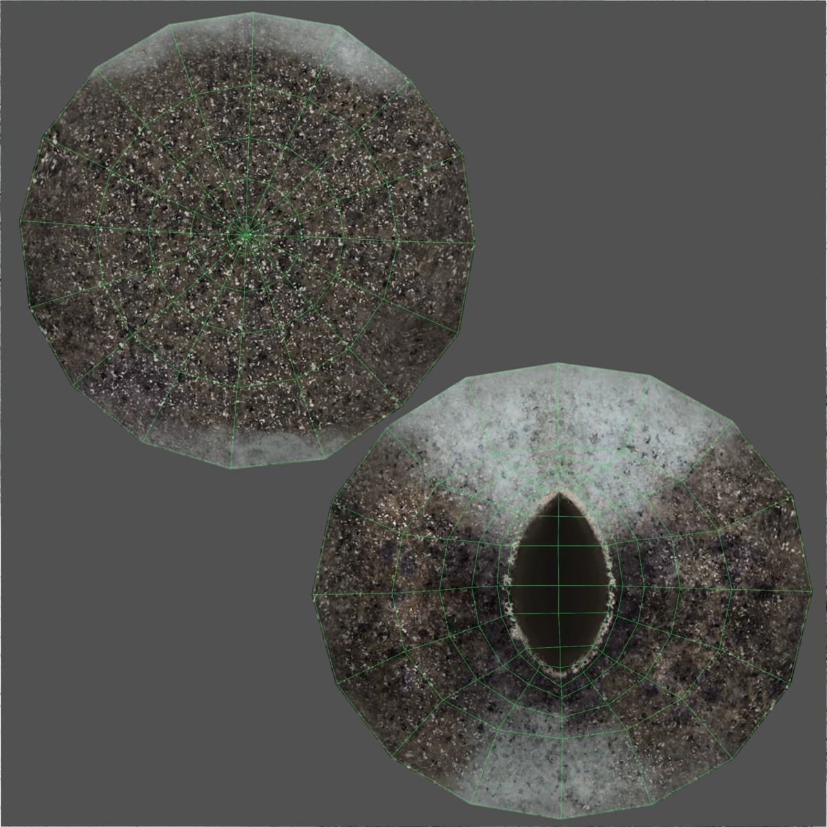 Palestine viper Animated VFX Grace 3D model_29