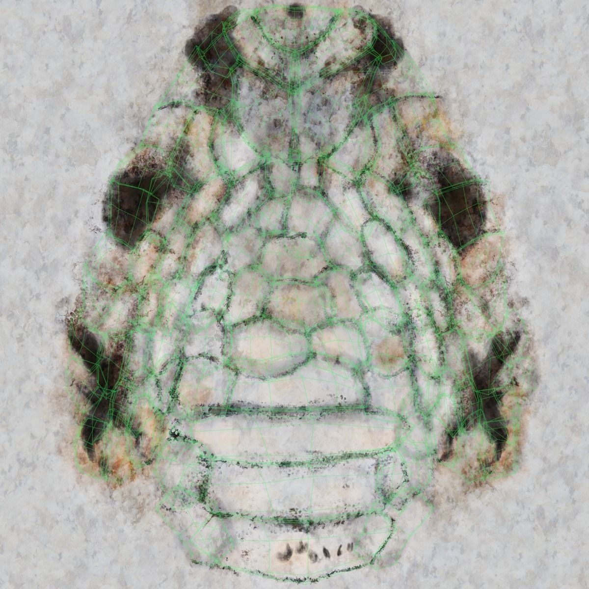 Palestine viper Animated VFX Grace 3D model_25