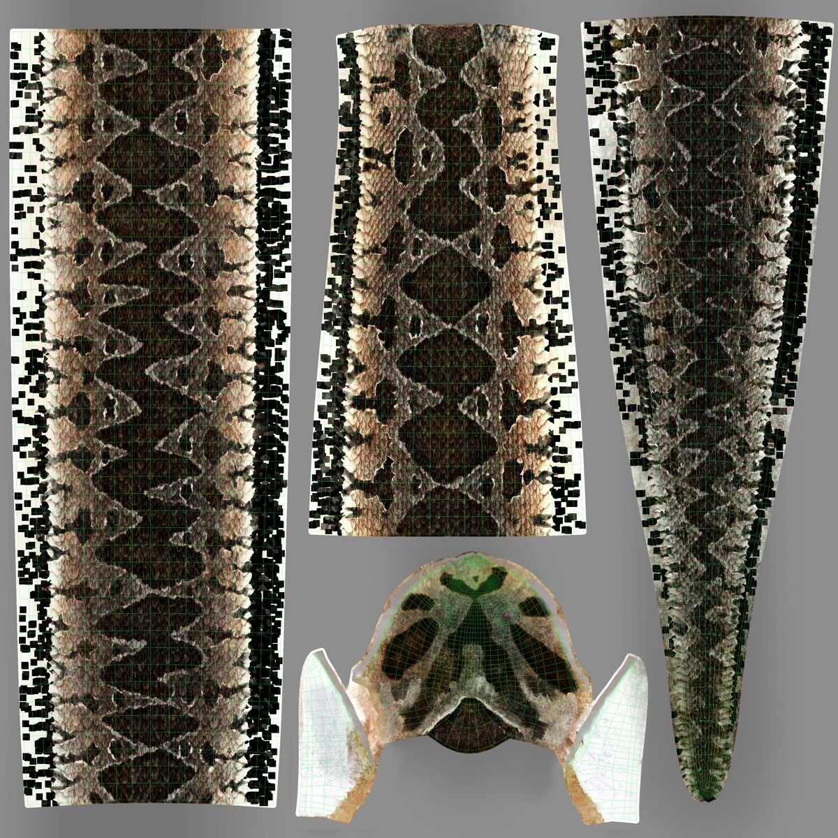 Palestine viper Animated VFX Grace 3D model_23