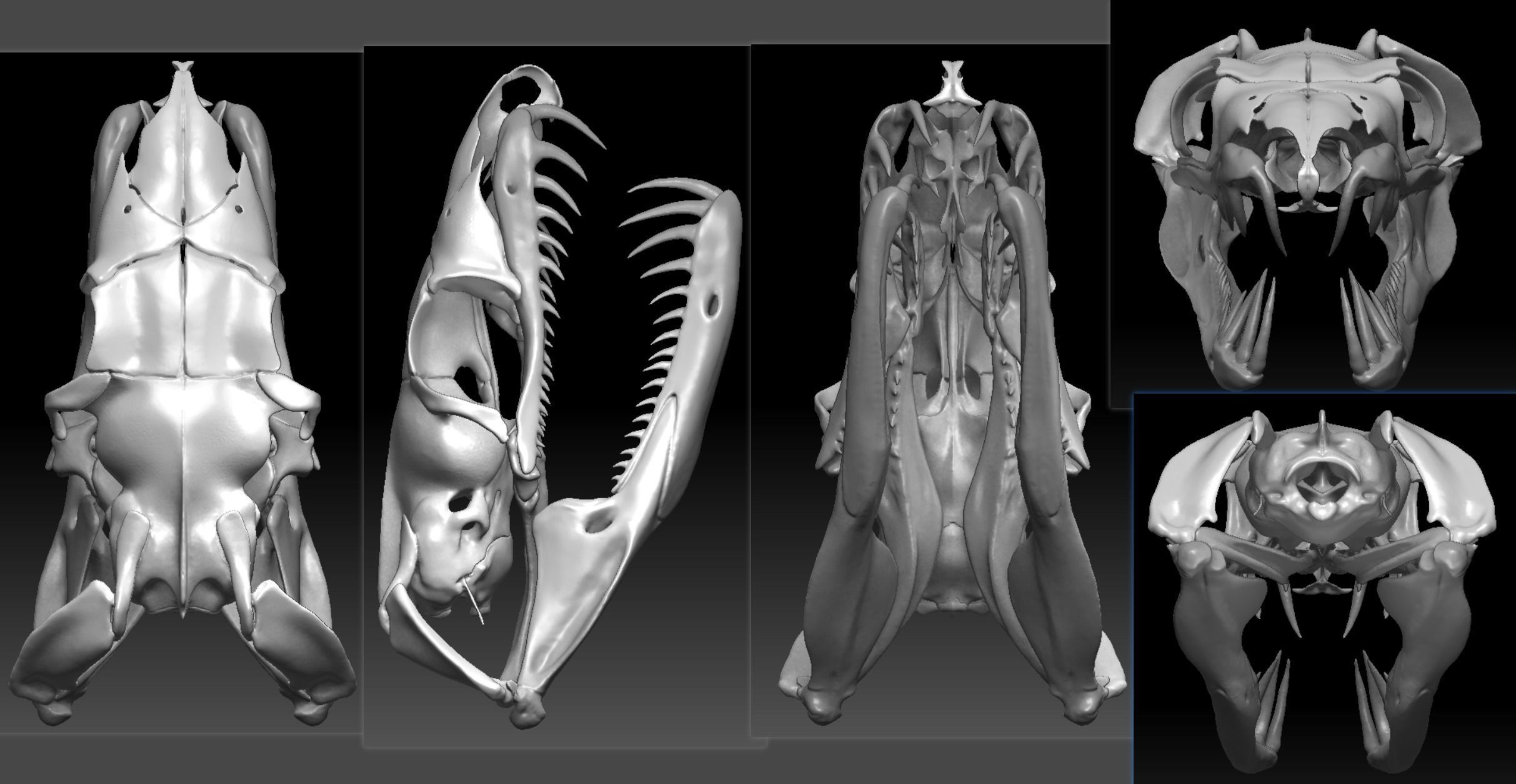 Python Skeleton Snake Lamp Decoration Scanned Printable replicas 3D print model_8