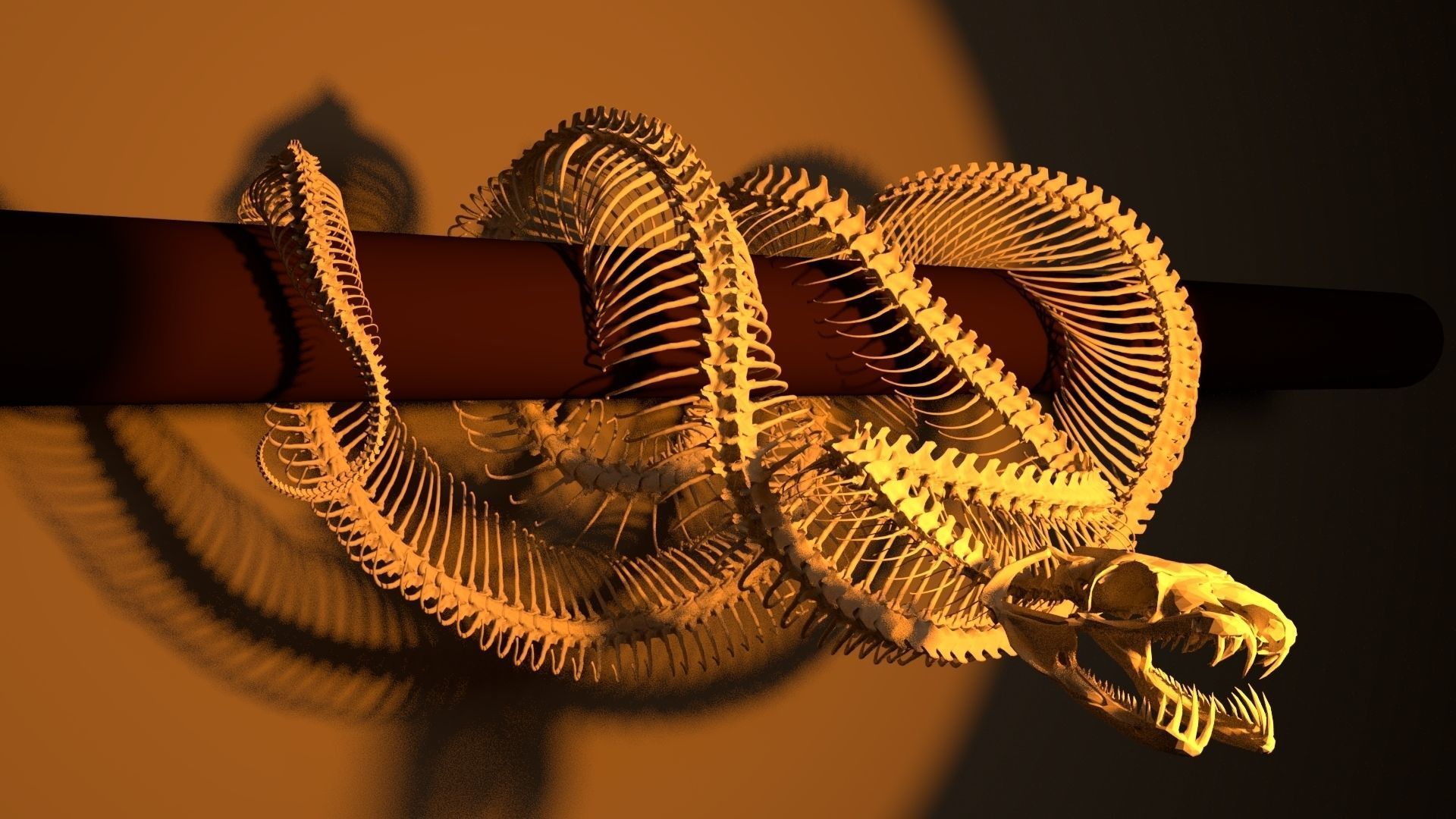 Python Skeleton Snake Lamp Decoration Scanned Printable replicas 3D print model_2