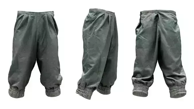 Flower Trousers Low-poly 3D model