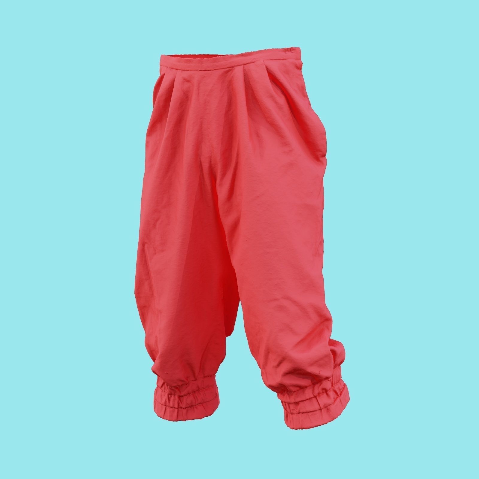 Flower Trousers Low-poly 3D model_18