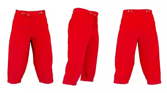 Floral Lackey Trousers Low-poly 3D model