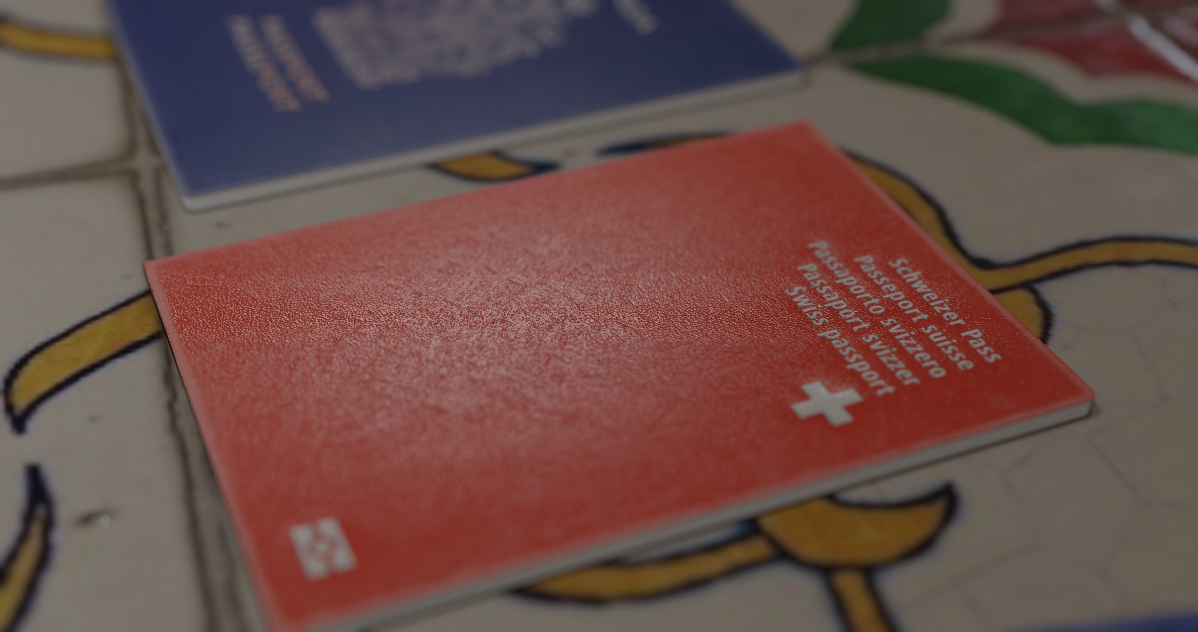 passport id pack of different countries Low-poly 3D model_9