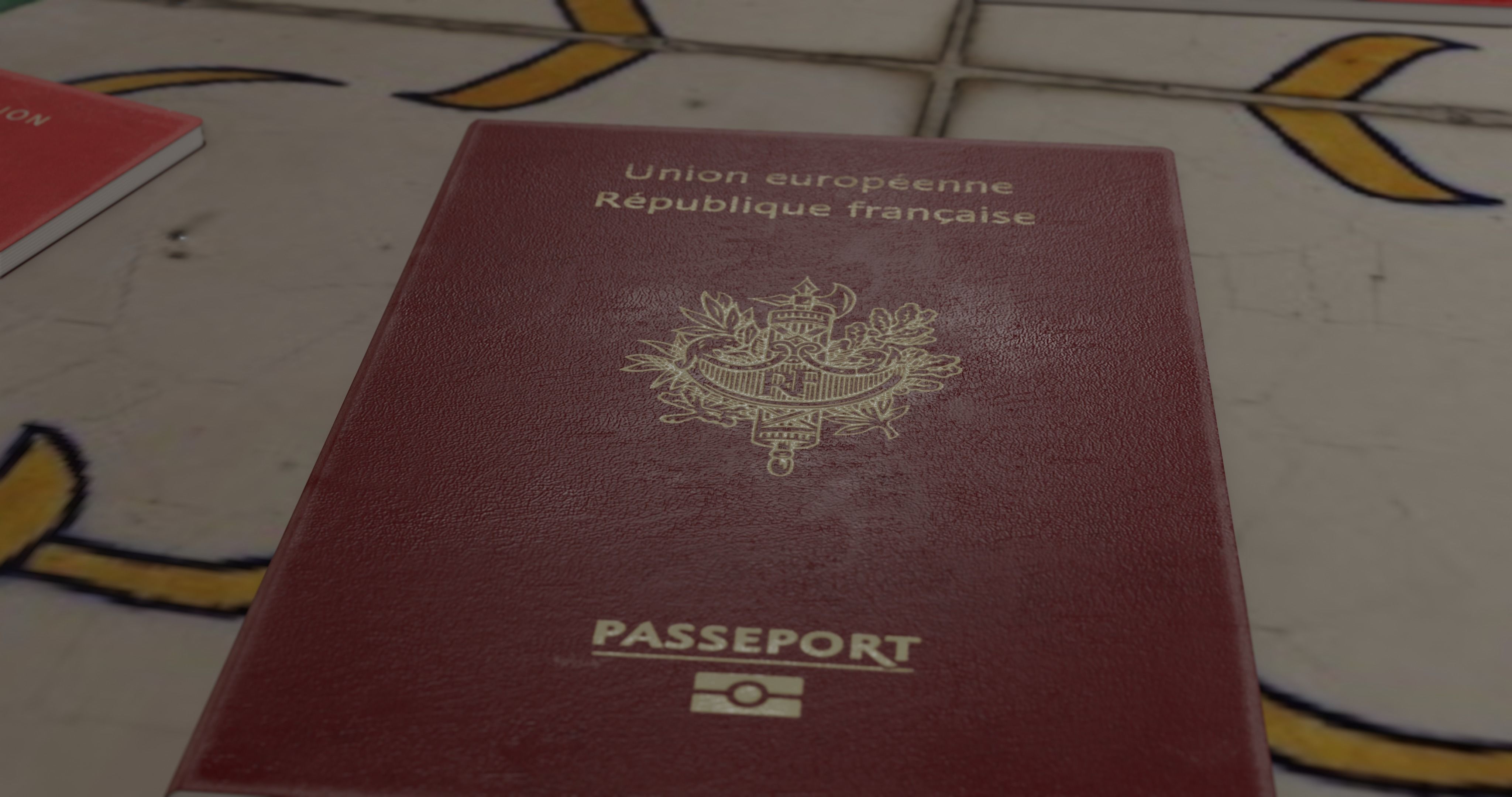 passport id pack of different countries Low-poly 3D model_7