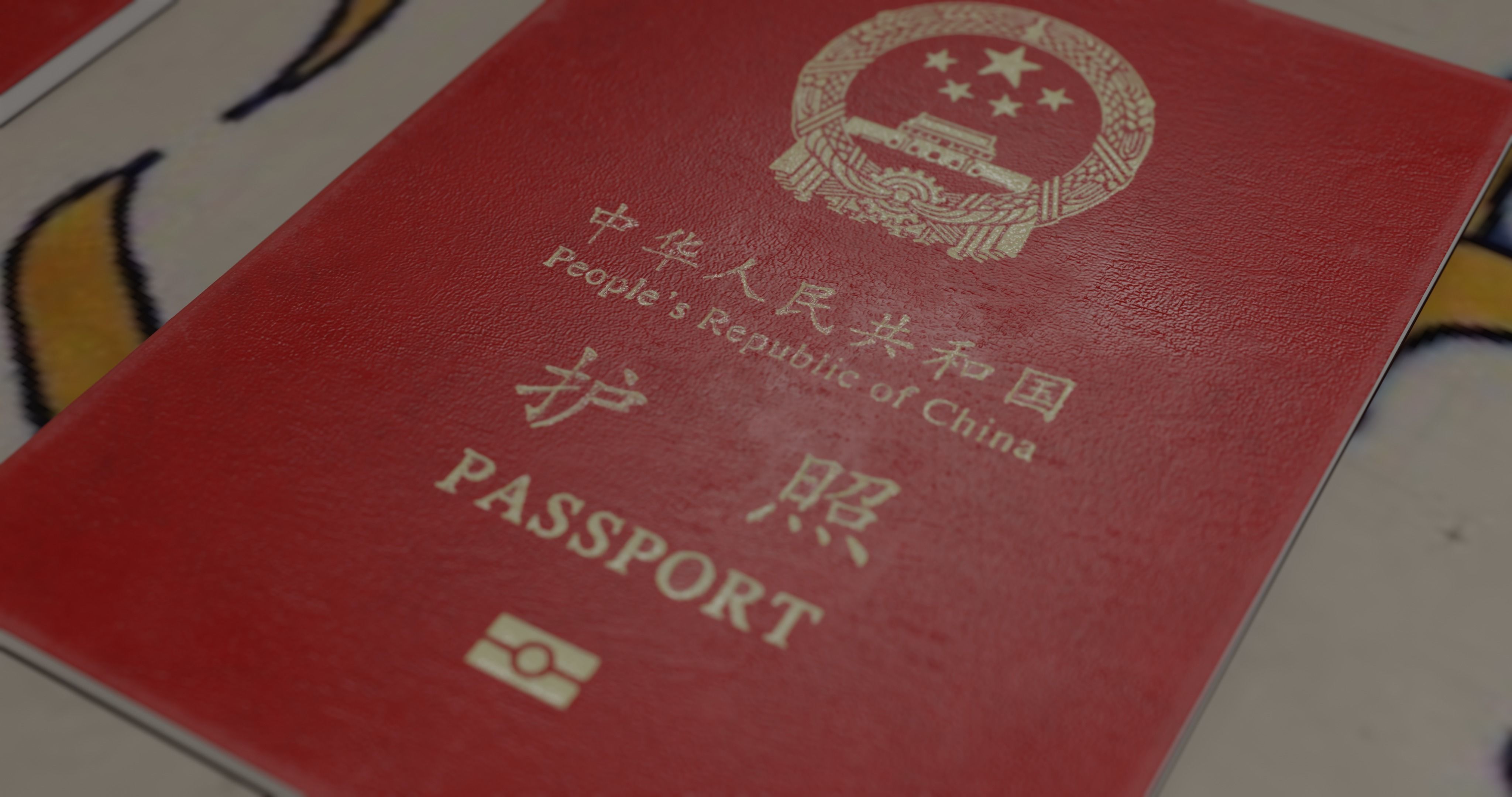 passport id pack of different countries Low-poly 3D model_2