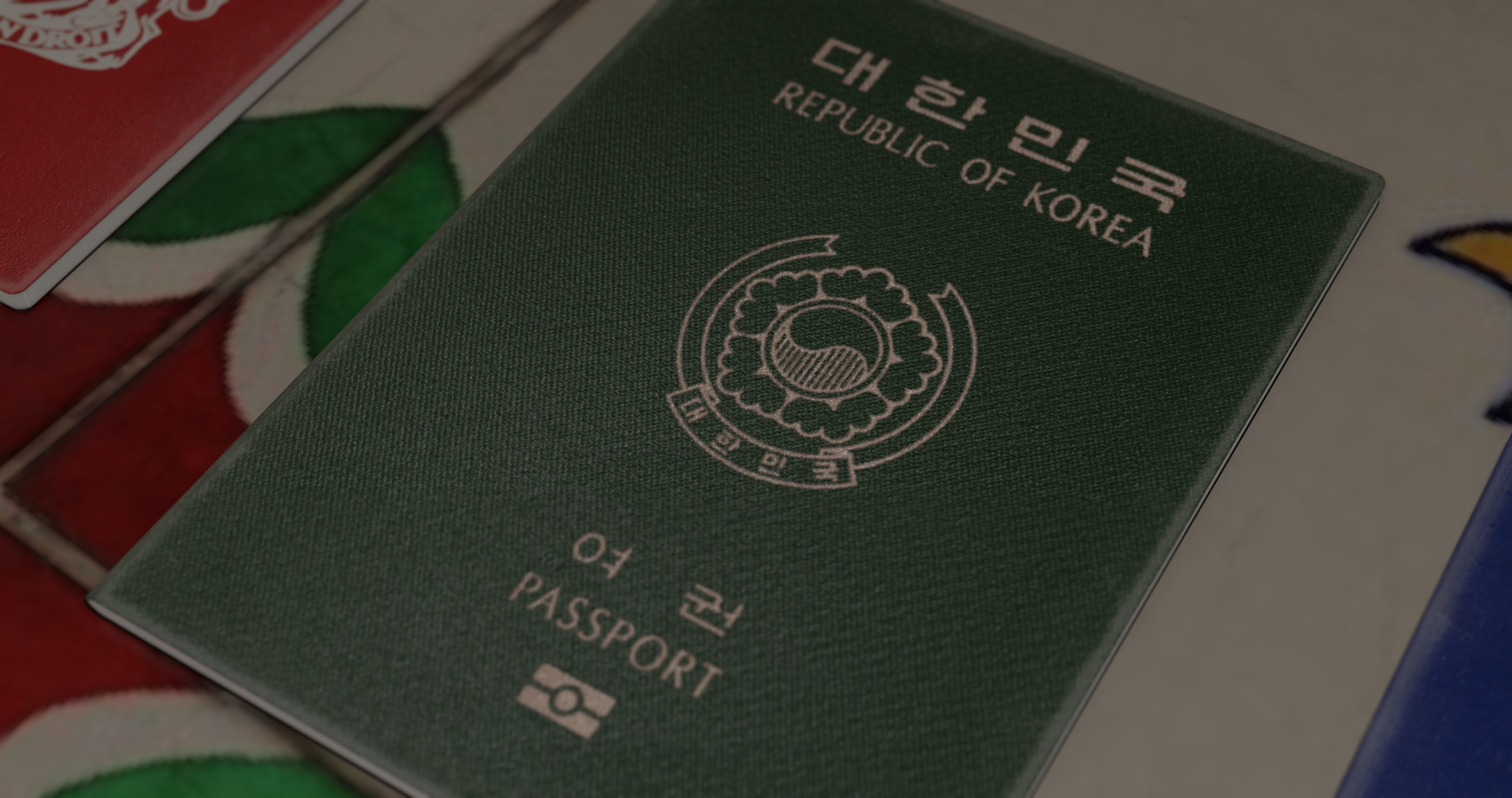 passport id pack of different countries Low-poly 3D model_11