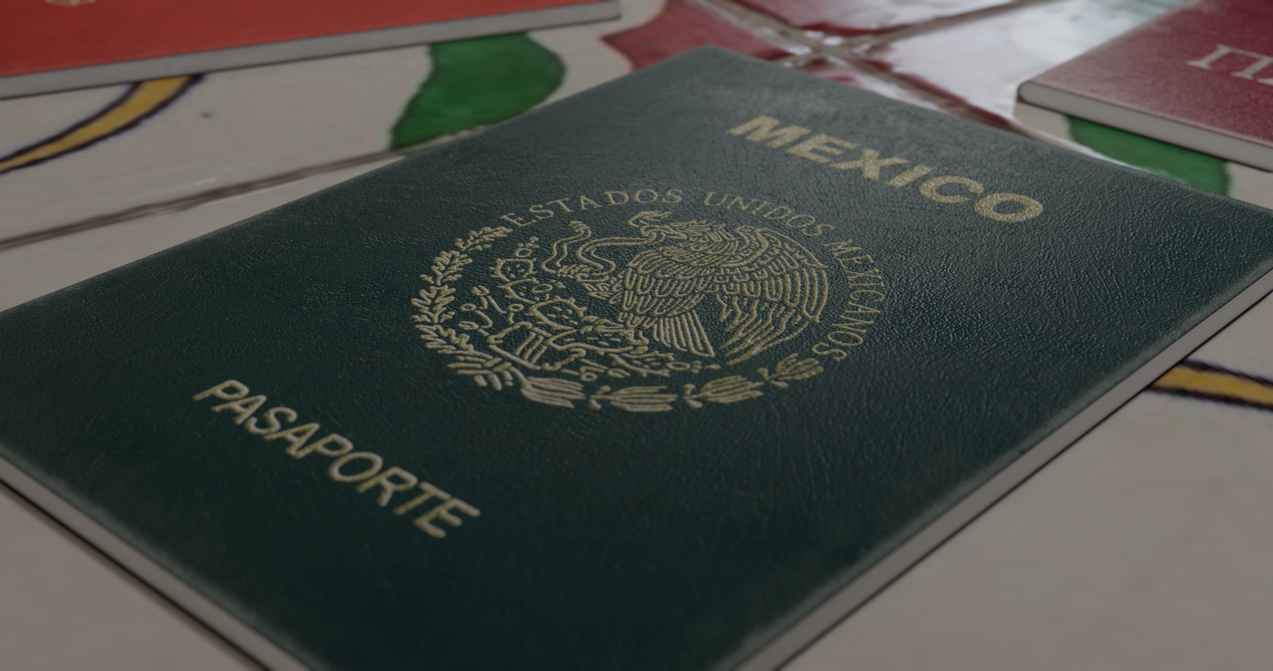 passport id pack of different countries Low-poly 3D model_5