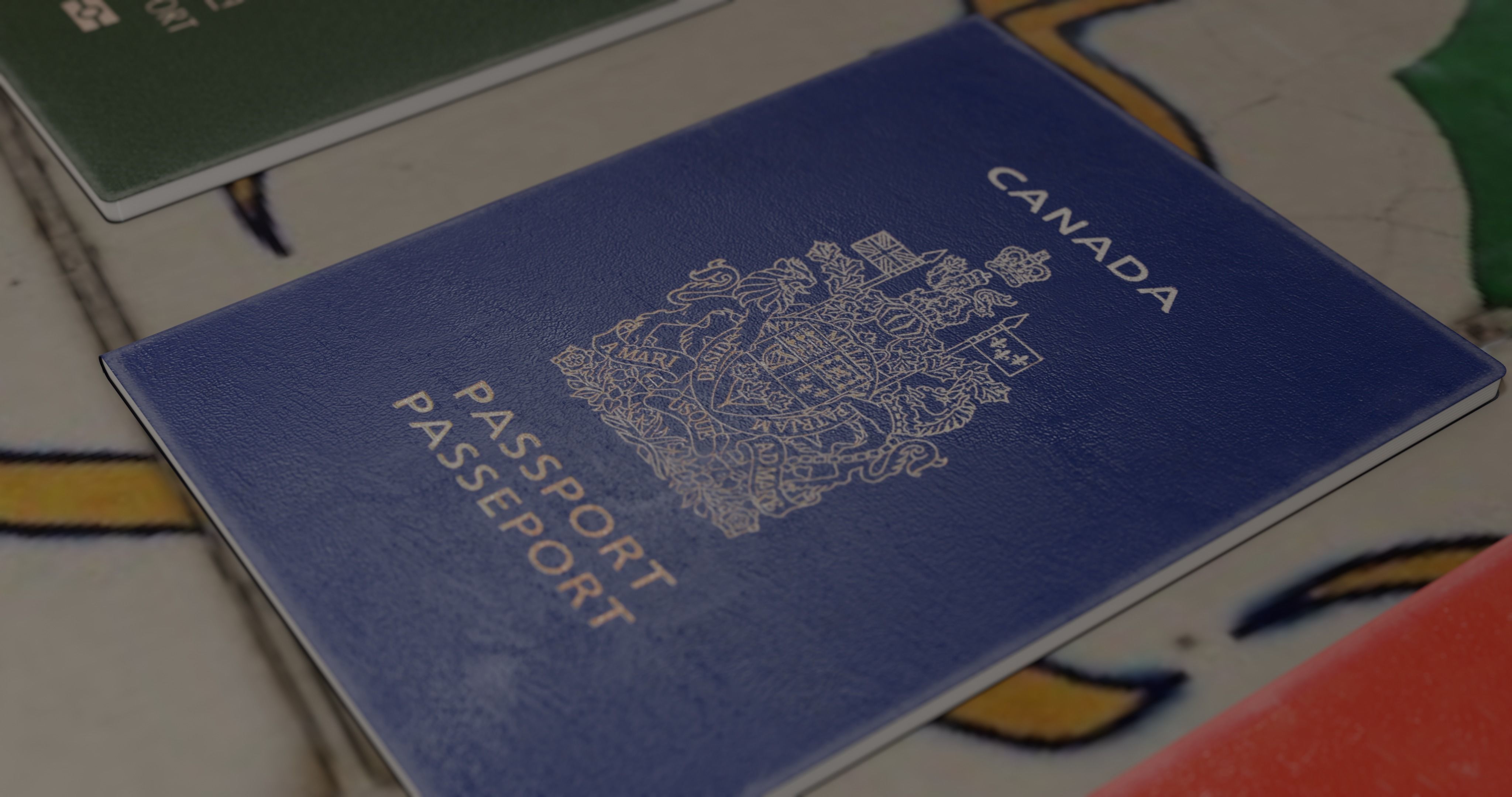 passport id pack of different countries Low-poly 3D model_10