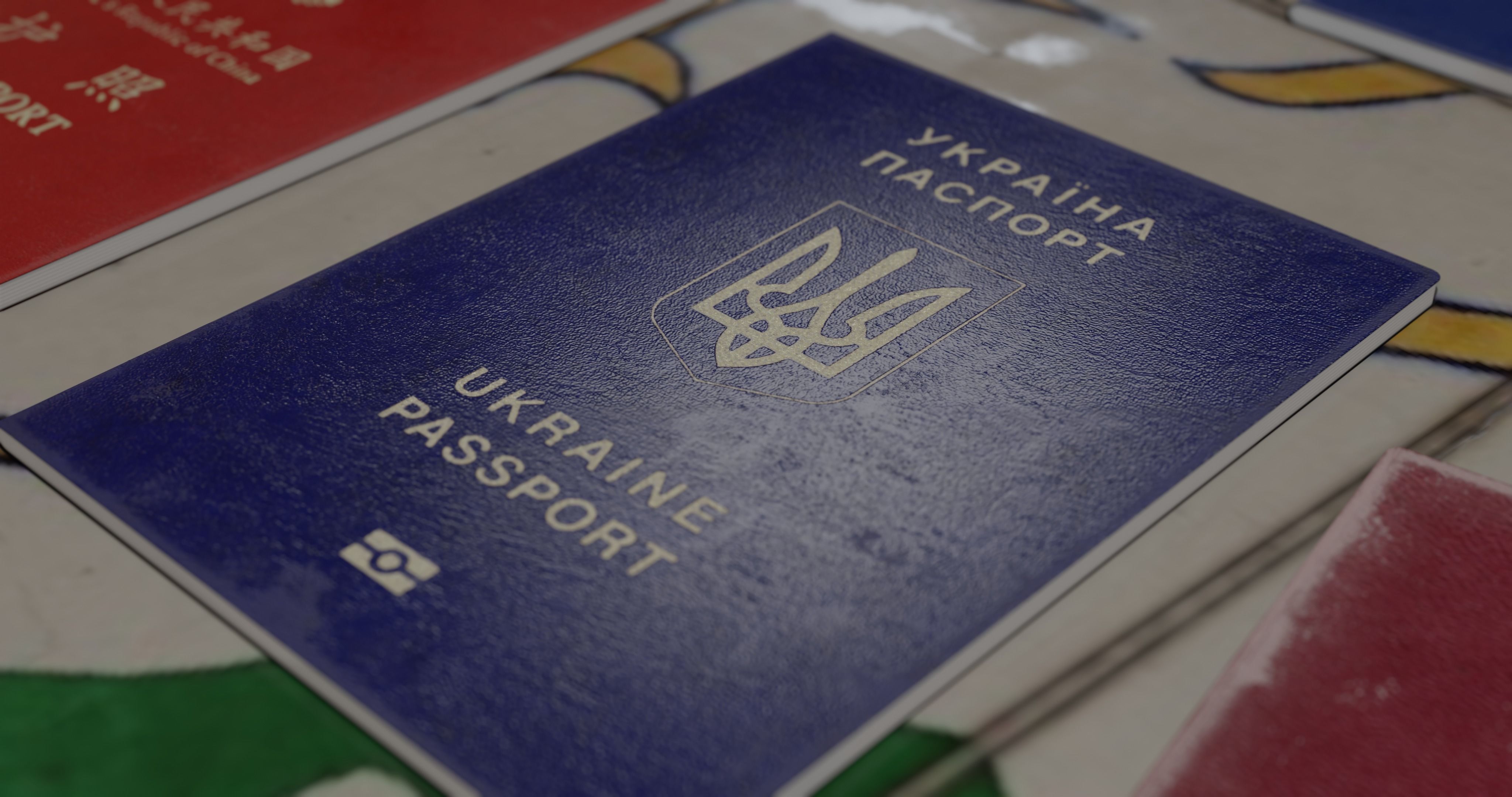 passport id pack of different countries Low-poly 3D model_1