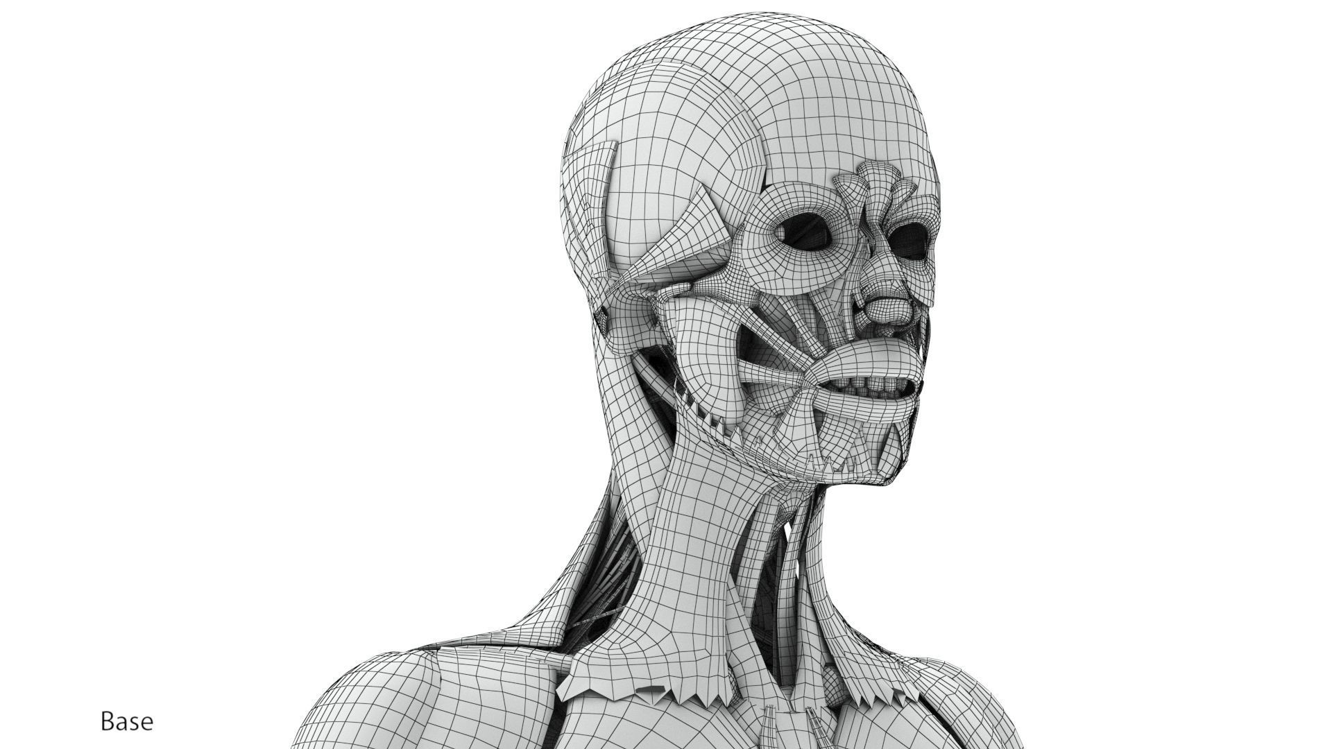 Human Musculoskeletal System 3D model_31