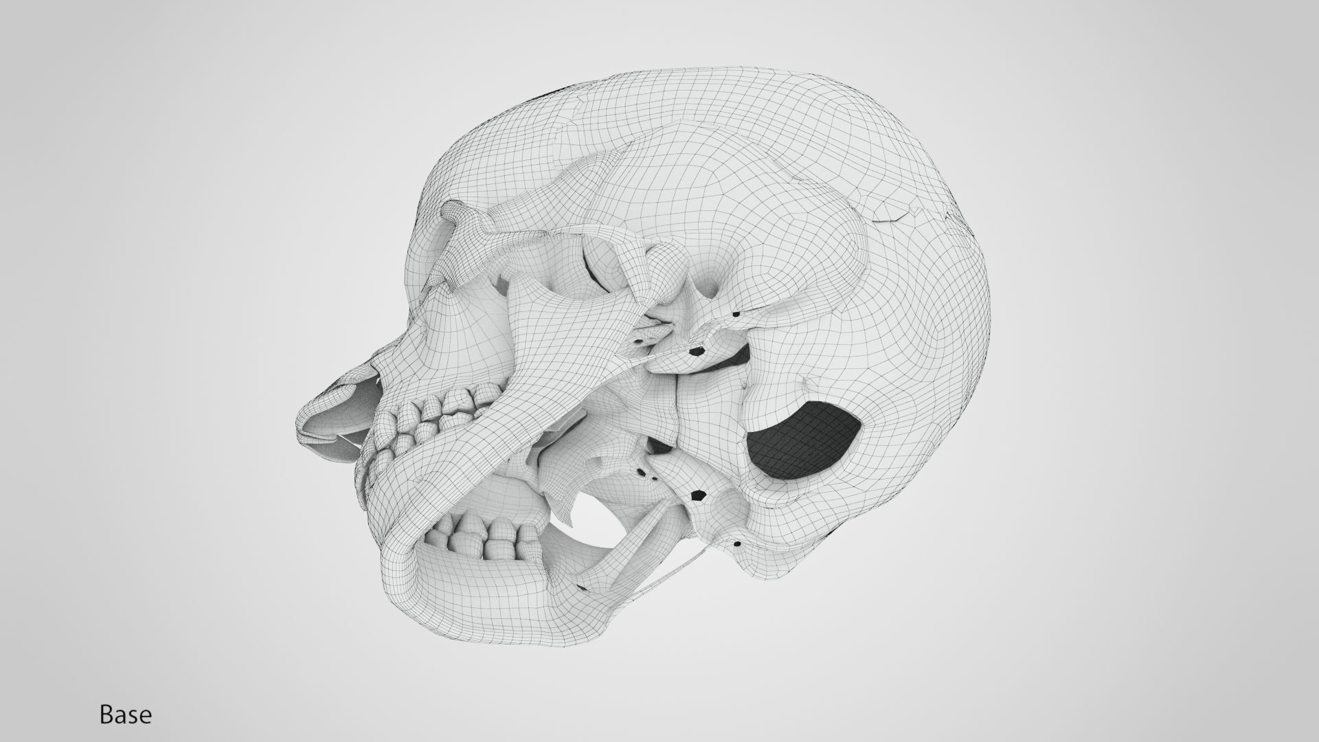 Human Musculoskeletal System 3D model_67