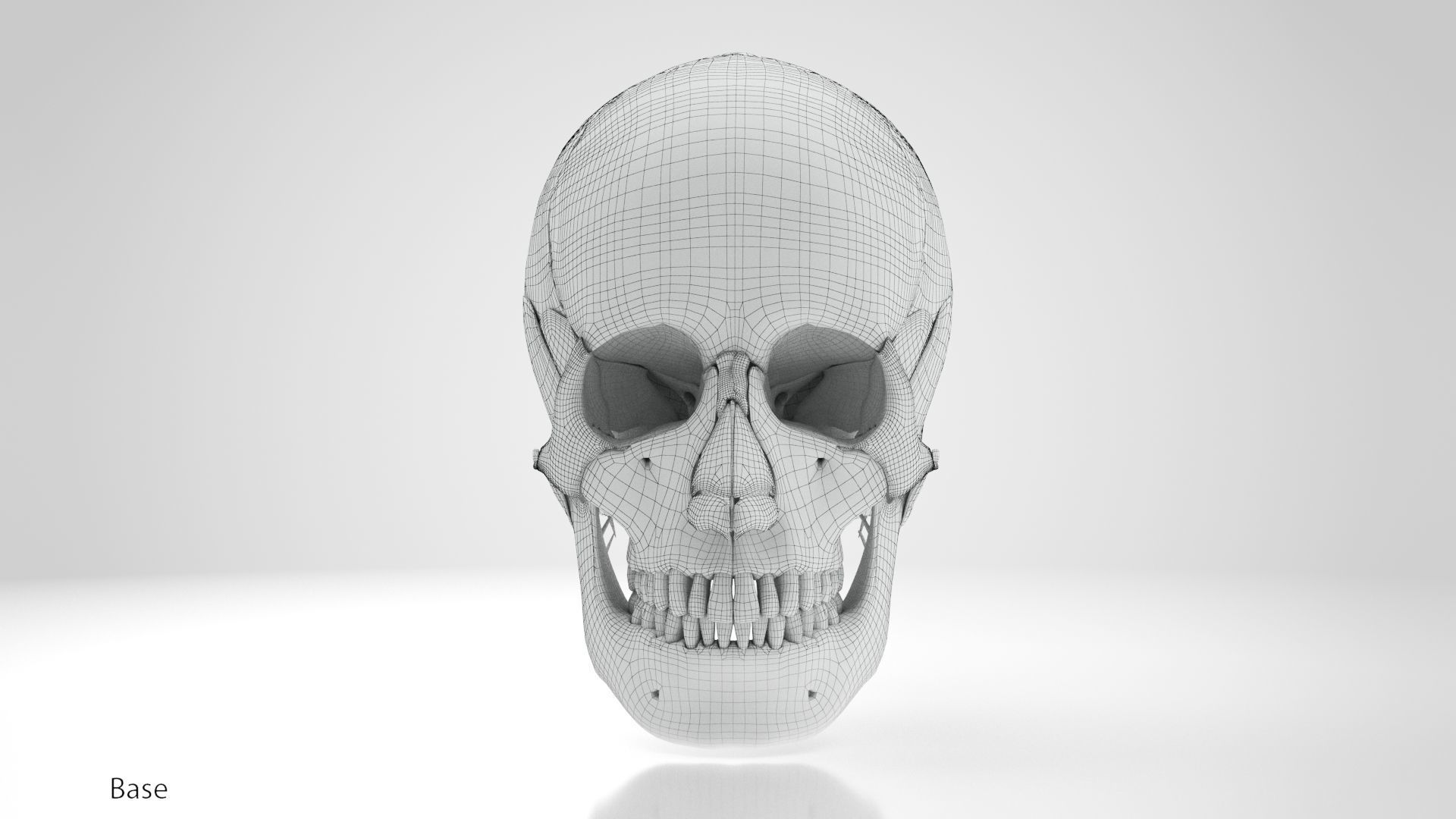Human Musculoskeletal System 3D model_66