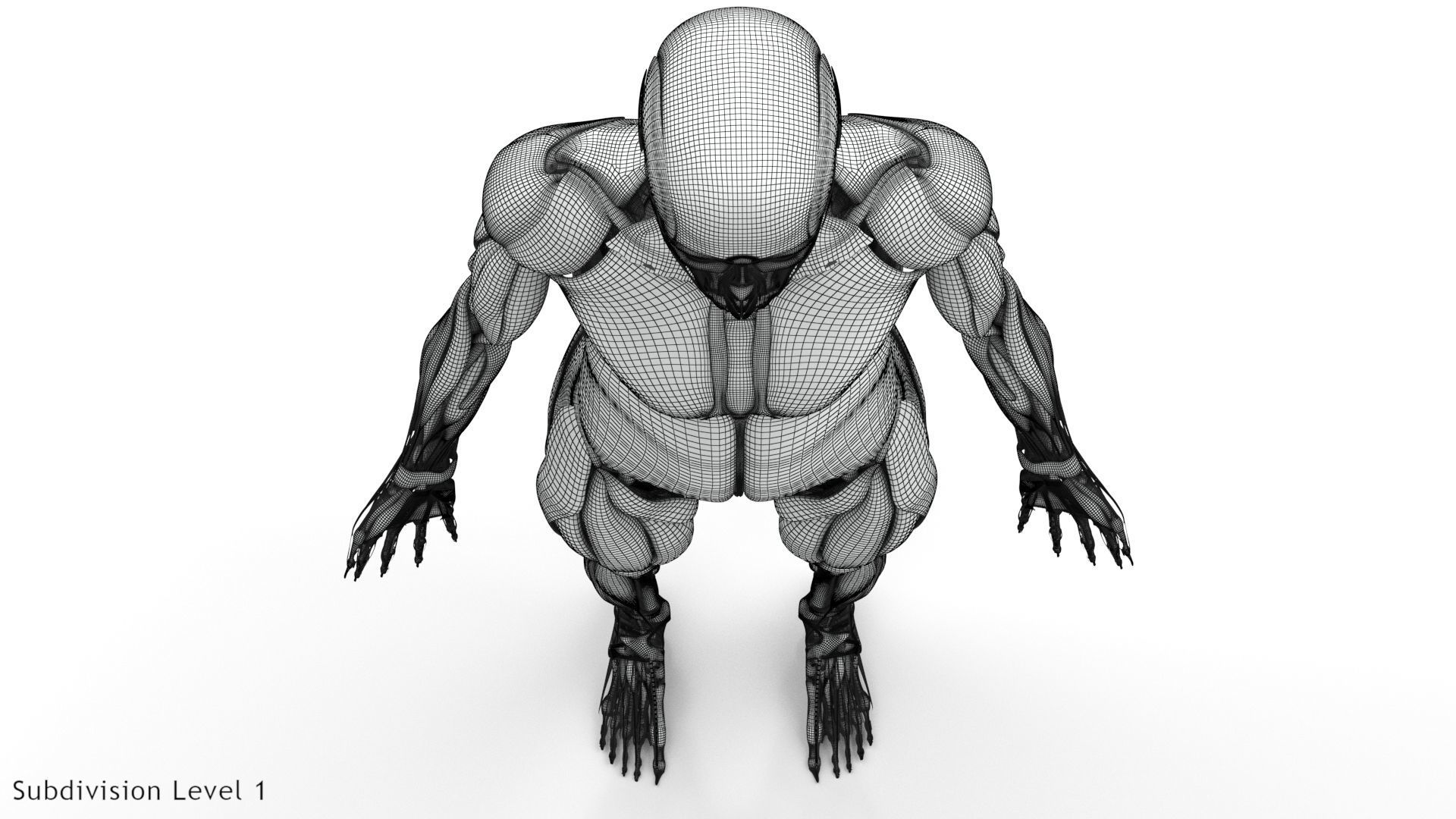 Human Musculoskeletal System 3D model_24