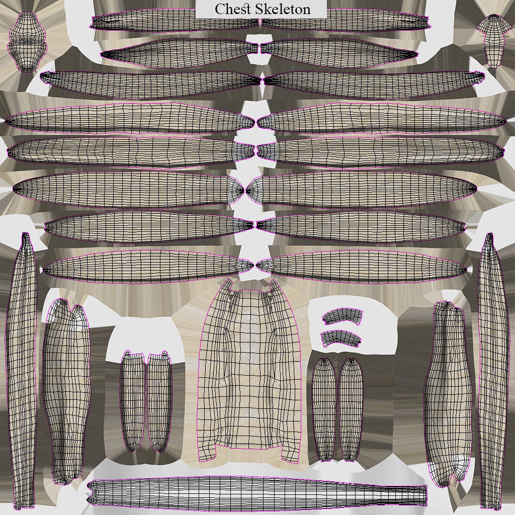 Human Musculoskeletal System 3D model_47