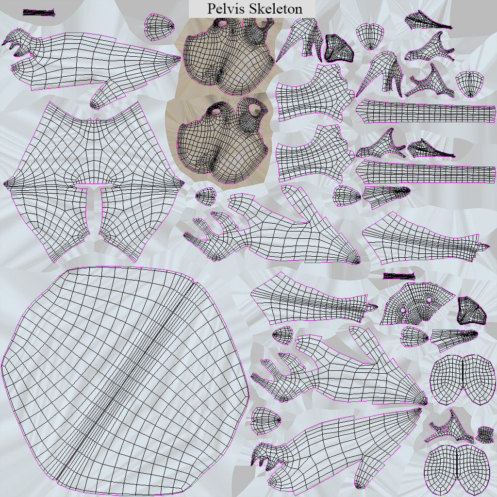 Human Musculoskeletal System 3D model_57