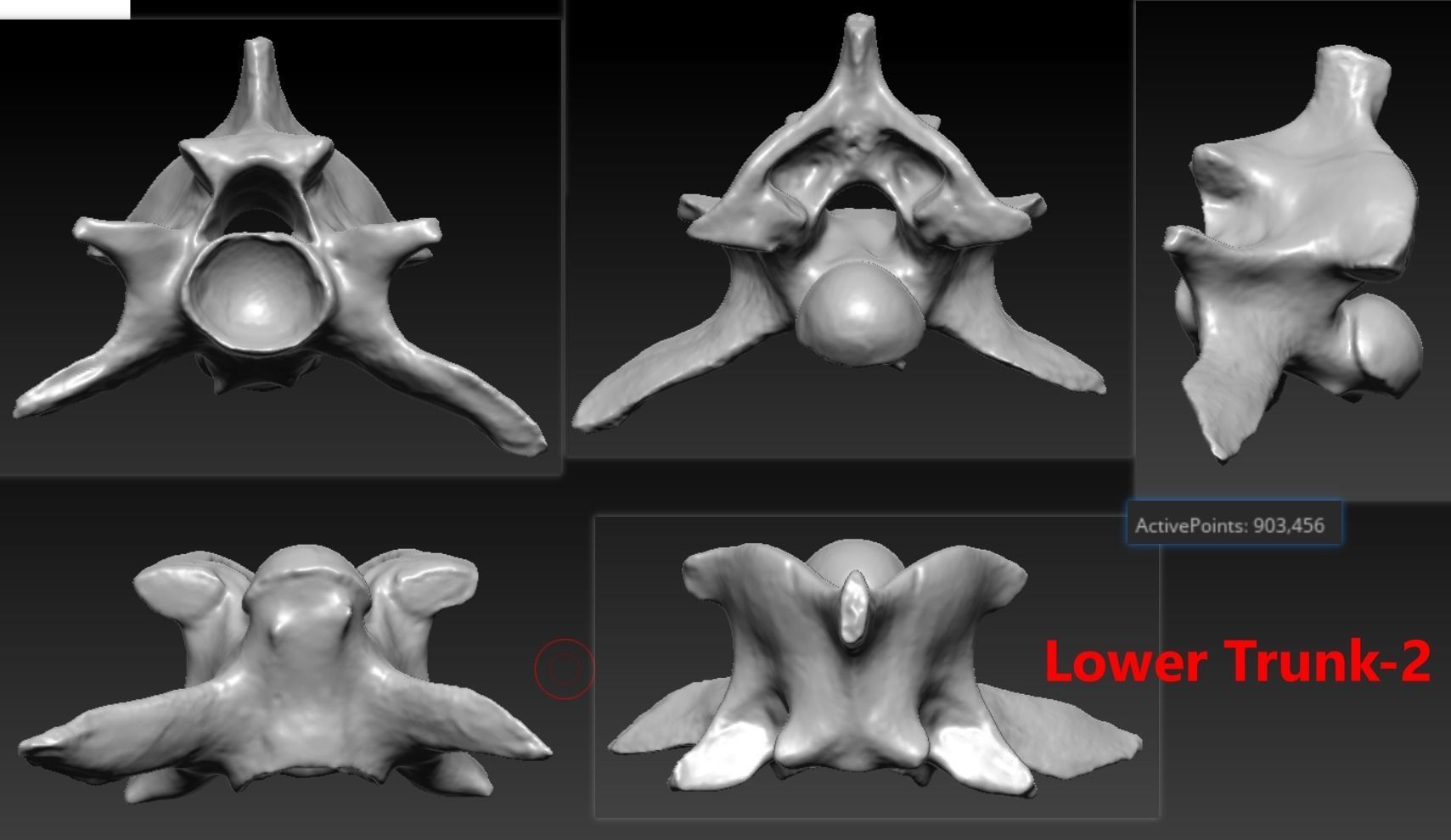 11 Snake Bones Set Skeleton Scanned Accurate Printable Replicas 3D print model_4