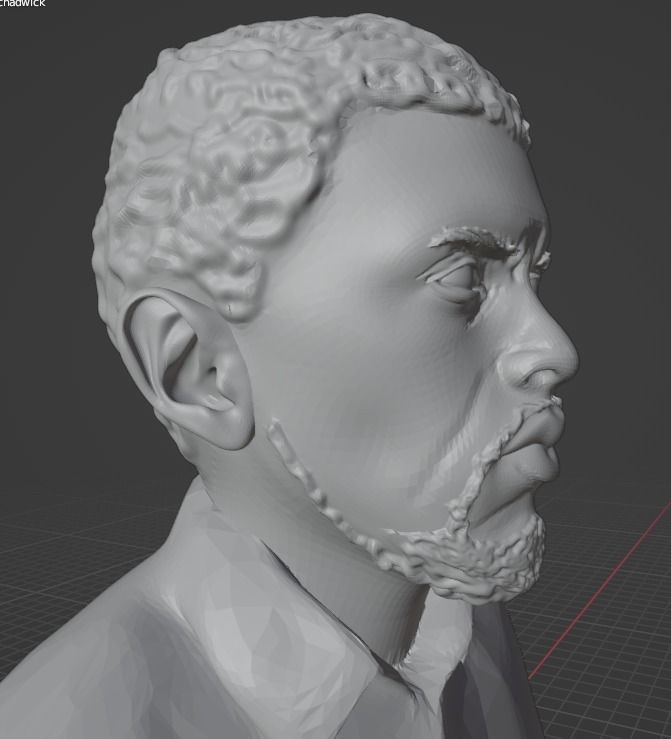 Chadwick Boseman 3D print model_18